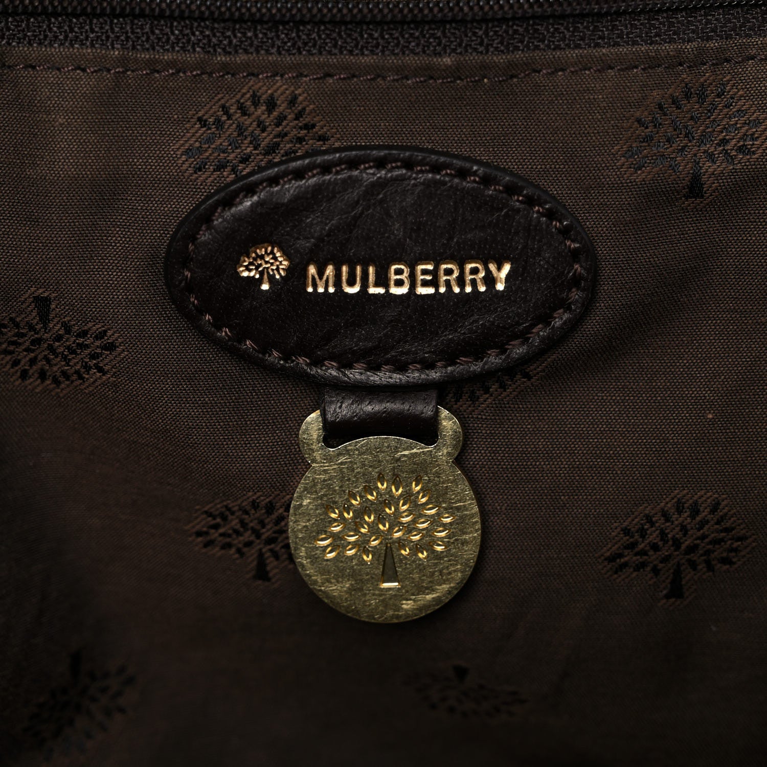 Mulberry Soft Buffalo Oversized Alexa Chocolate 9 of 15