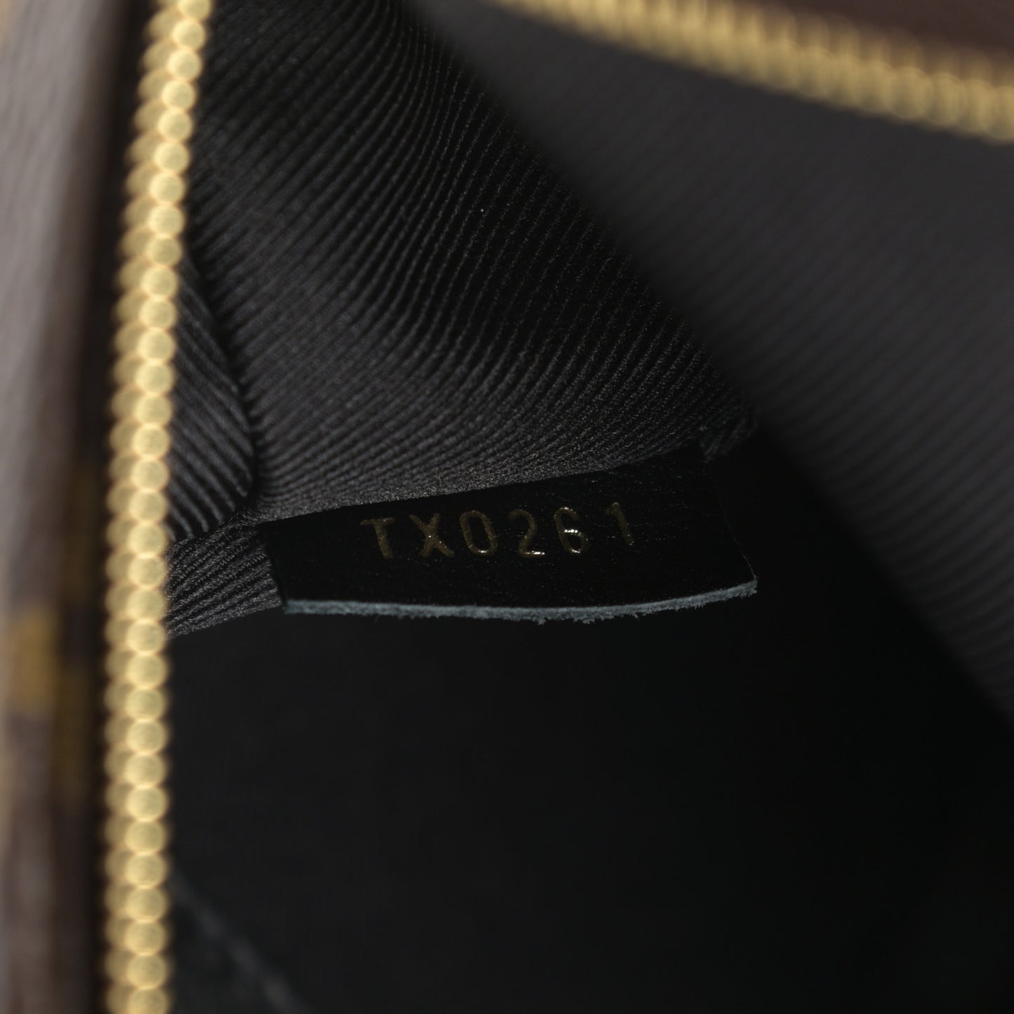 Monogram Palm Springs Backpack Mini
