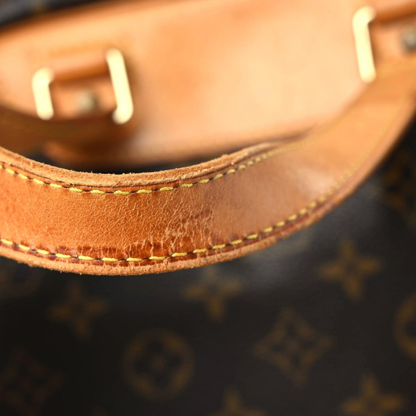 Monogram Excursion Shoe Bag