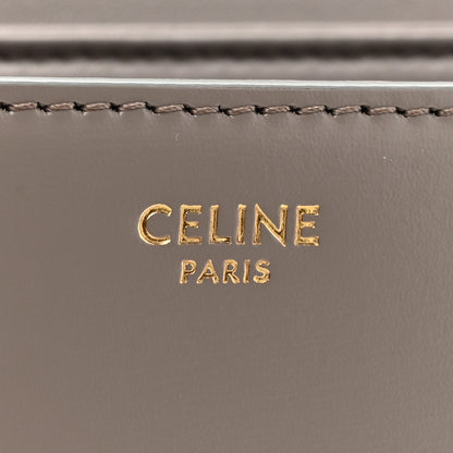 Celine Shiny Calfskin Teen Triomphe Pebble 6 of 12