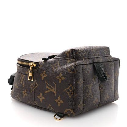 Louis Vuitton Monogram Palm Springs Backpack Mini 4 of 9