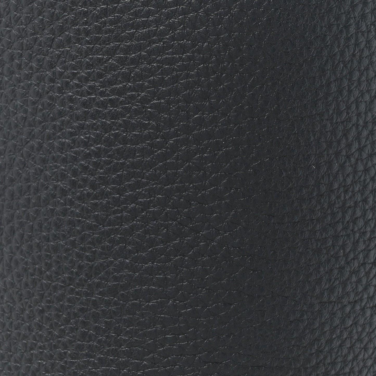 Grained Calfskin Medium N/S Park Tote Black
