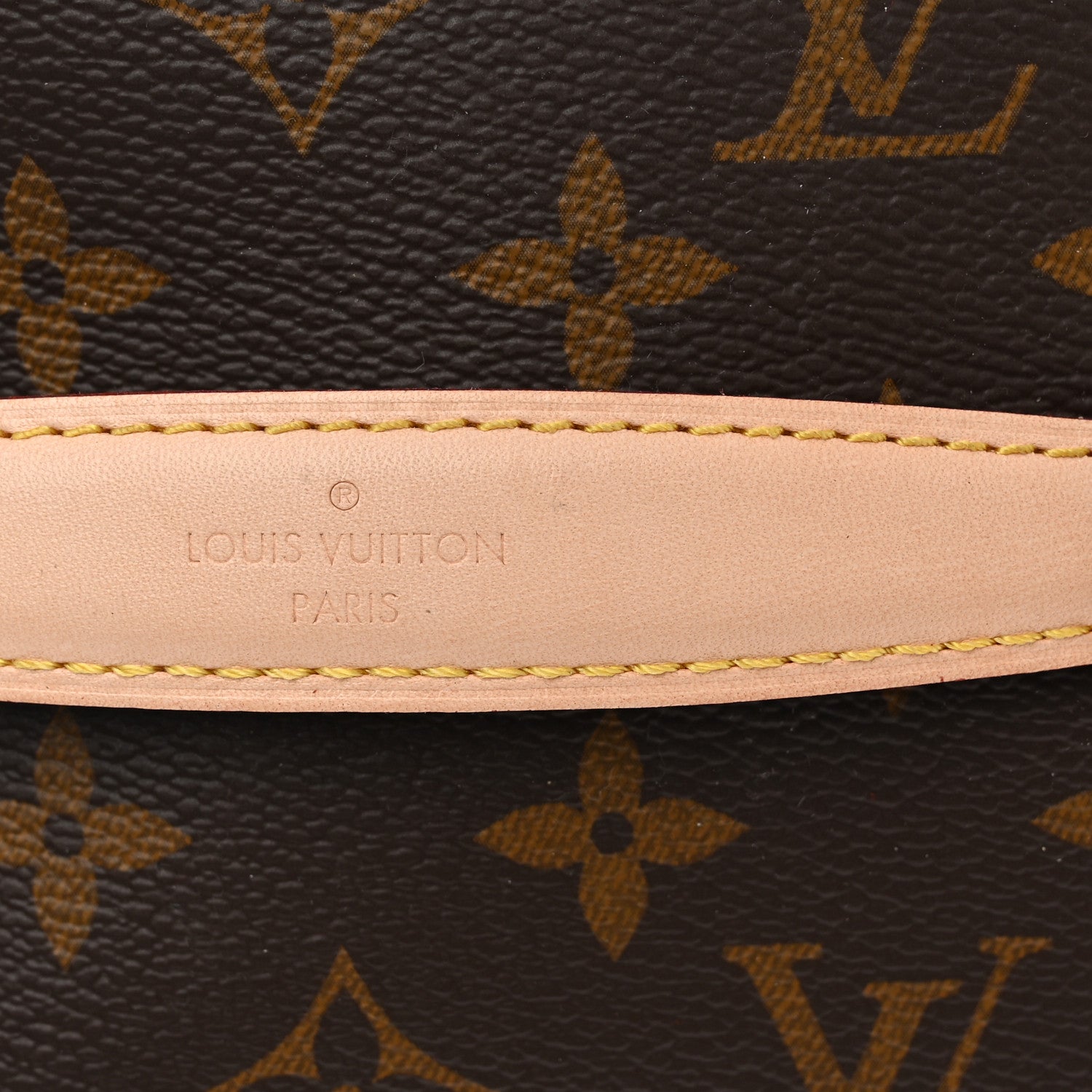 Louis Vuitton Monogram Nice Mini 8 of 10