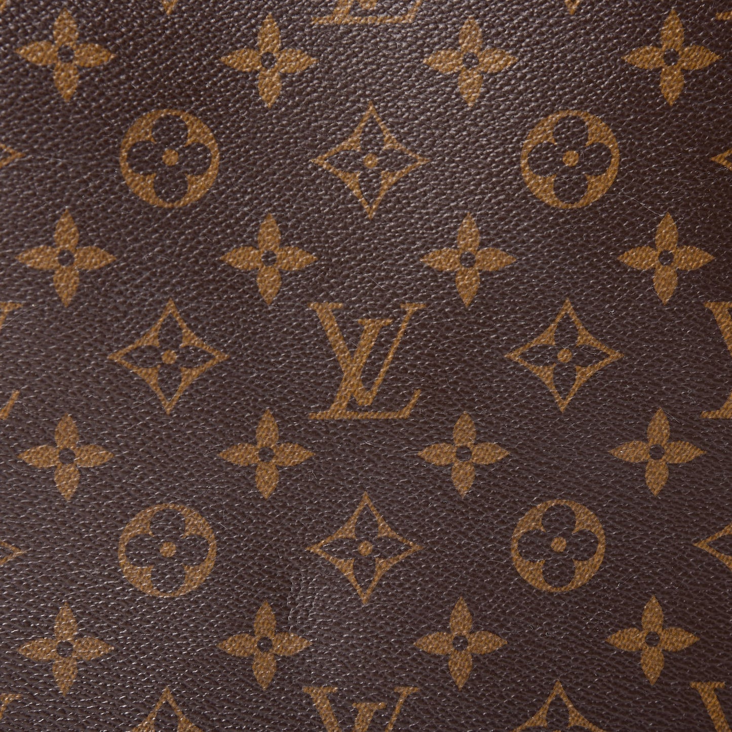 Monogram Delightful PM