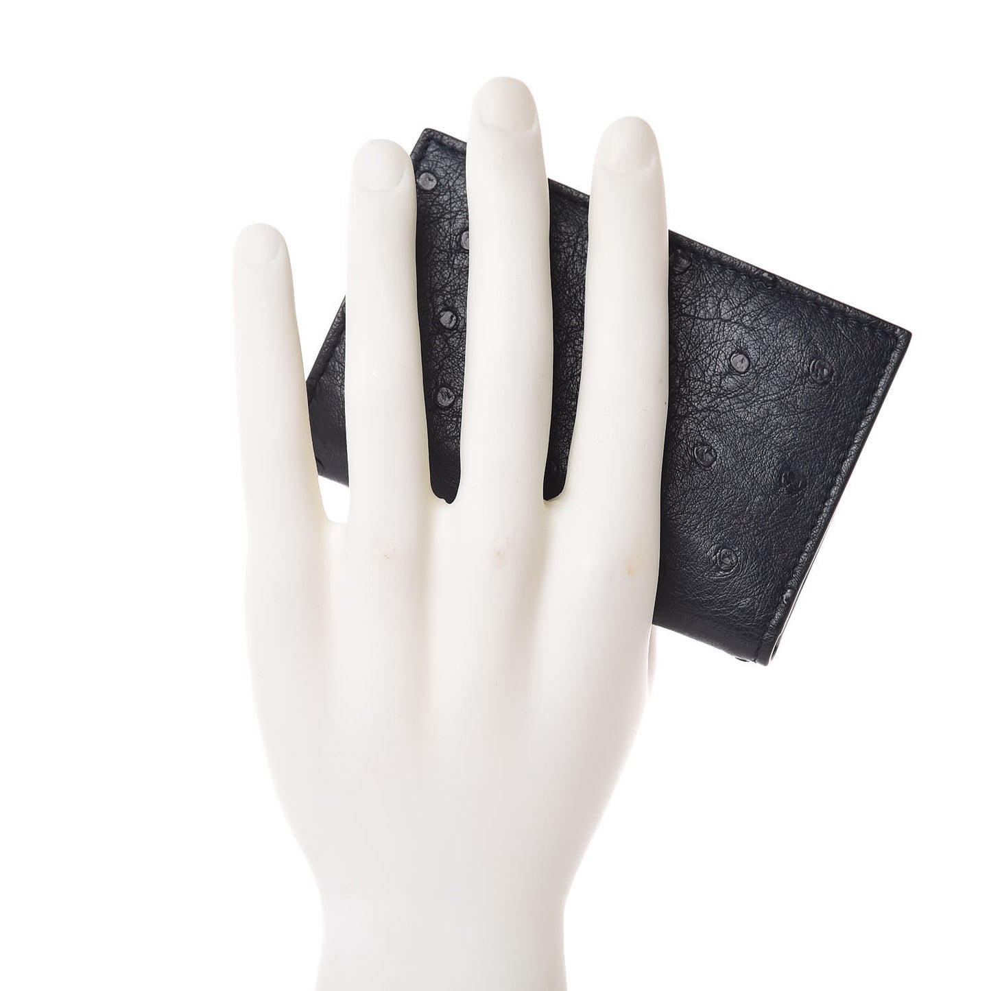 Ostrich Card Holder Blue