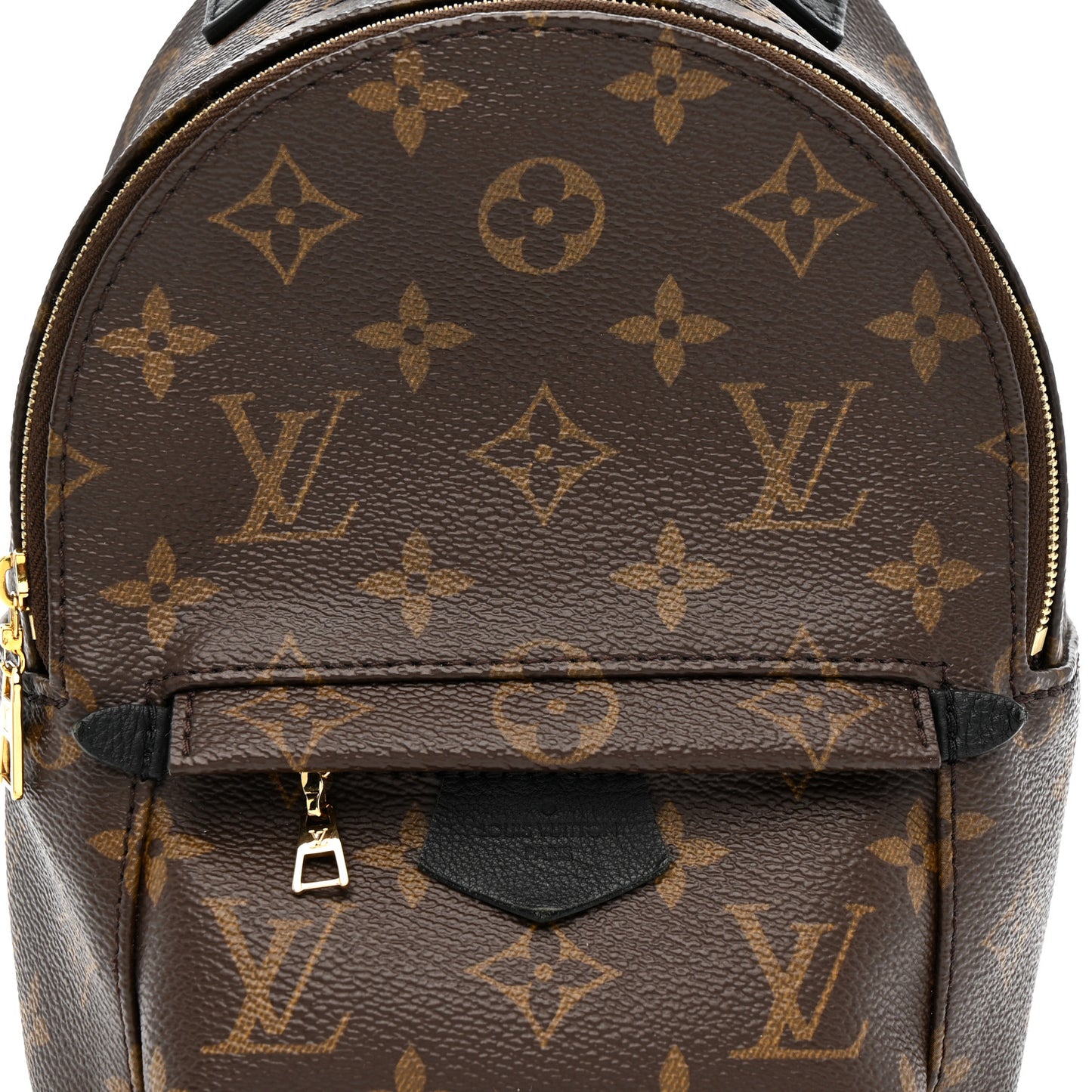 Monogram Palm Springs Backpack Mini