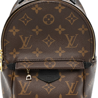 Louis Vuitton Monogram Palm Springs Backpack Mini 8 of 12