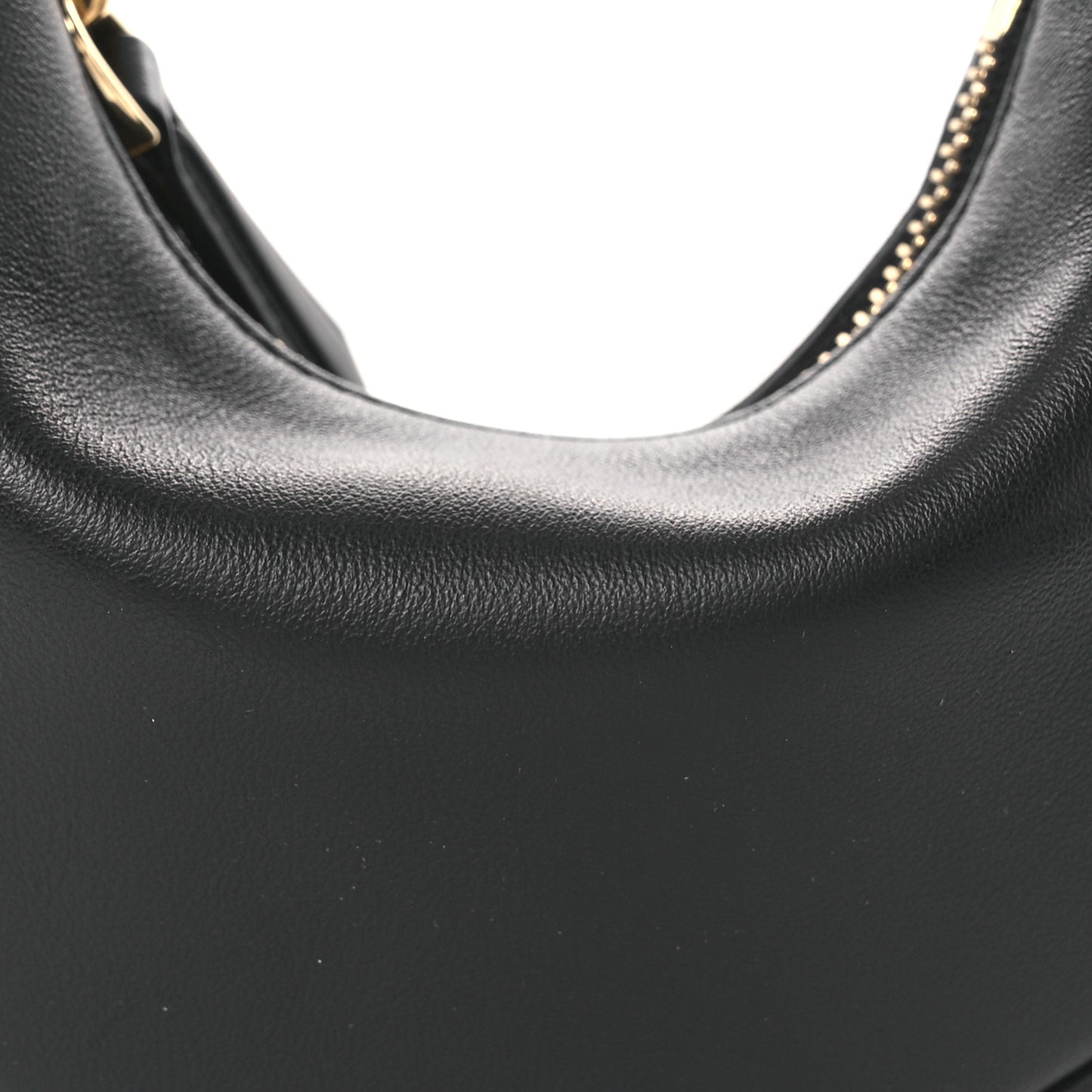 Vitello Grace Matte Nano Fendigraphy Hobo Charm Black