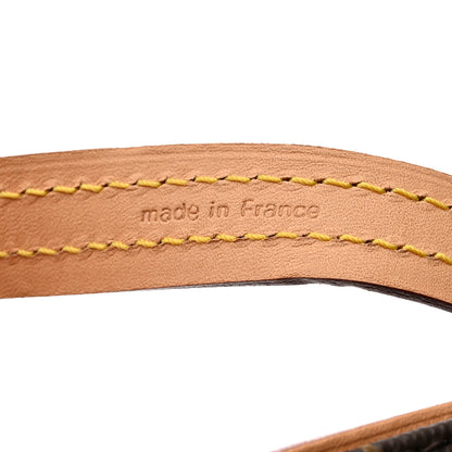 Louis Vuitton Monogram Baxter Dog Leash MM 4 of 6