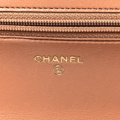 Chanel Lambskin Quilted Chanel 19 Wallet On Chain WOC Brown 6 of 11