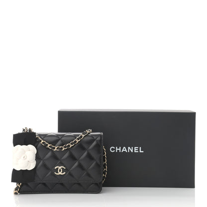 Chanel Lambskin Quilted Mini Camellia Bow Wallet On Chain WOC Black 11 of 11