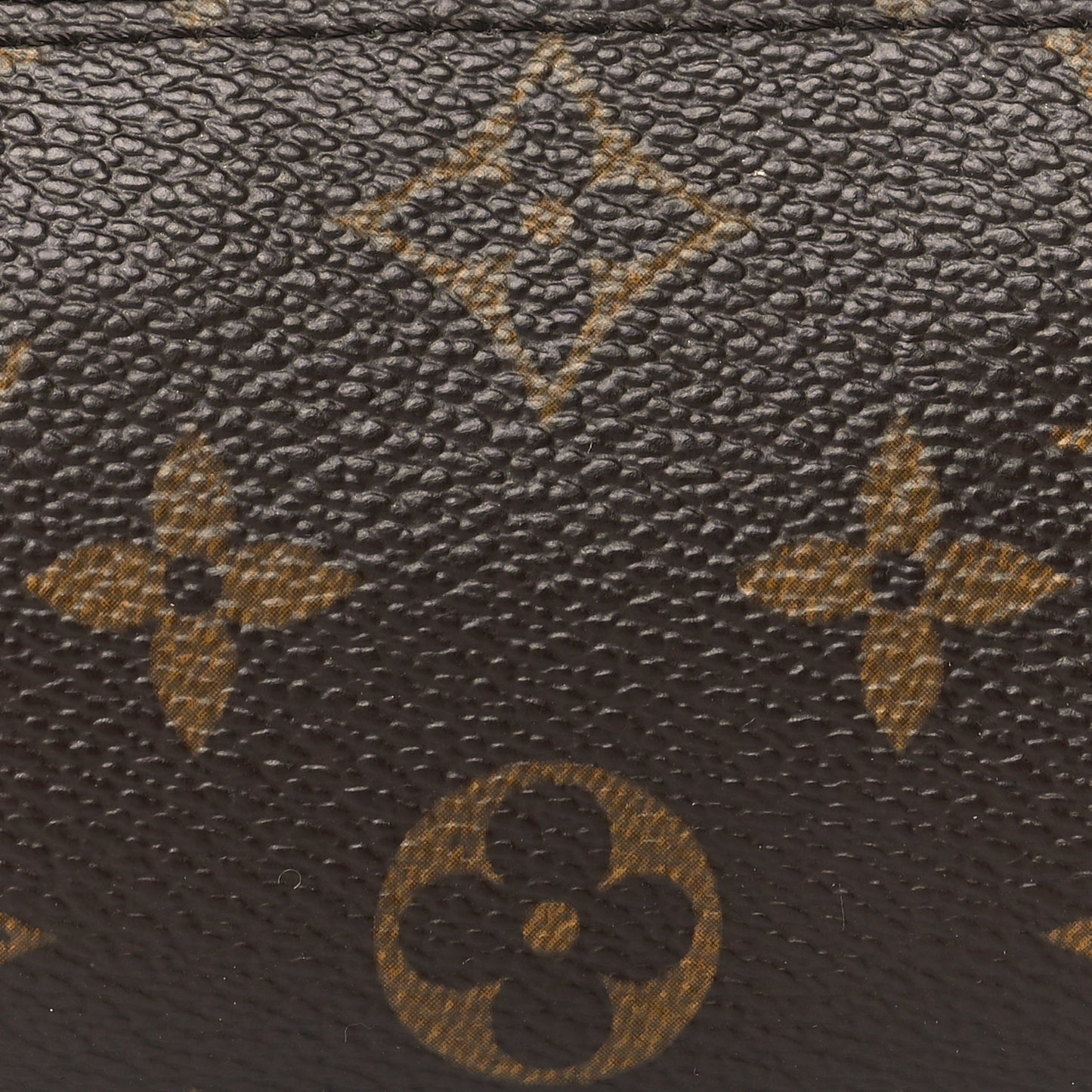 Monogram Mini Papillon