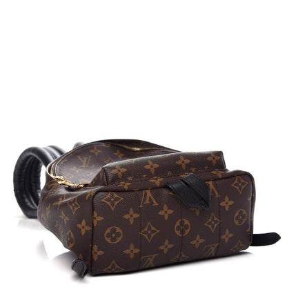 Louis Vuitton Monogram Palm Springs Backpack PM 3 of 9