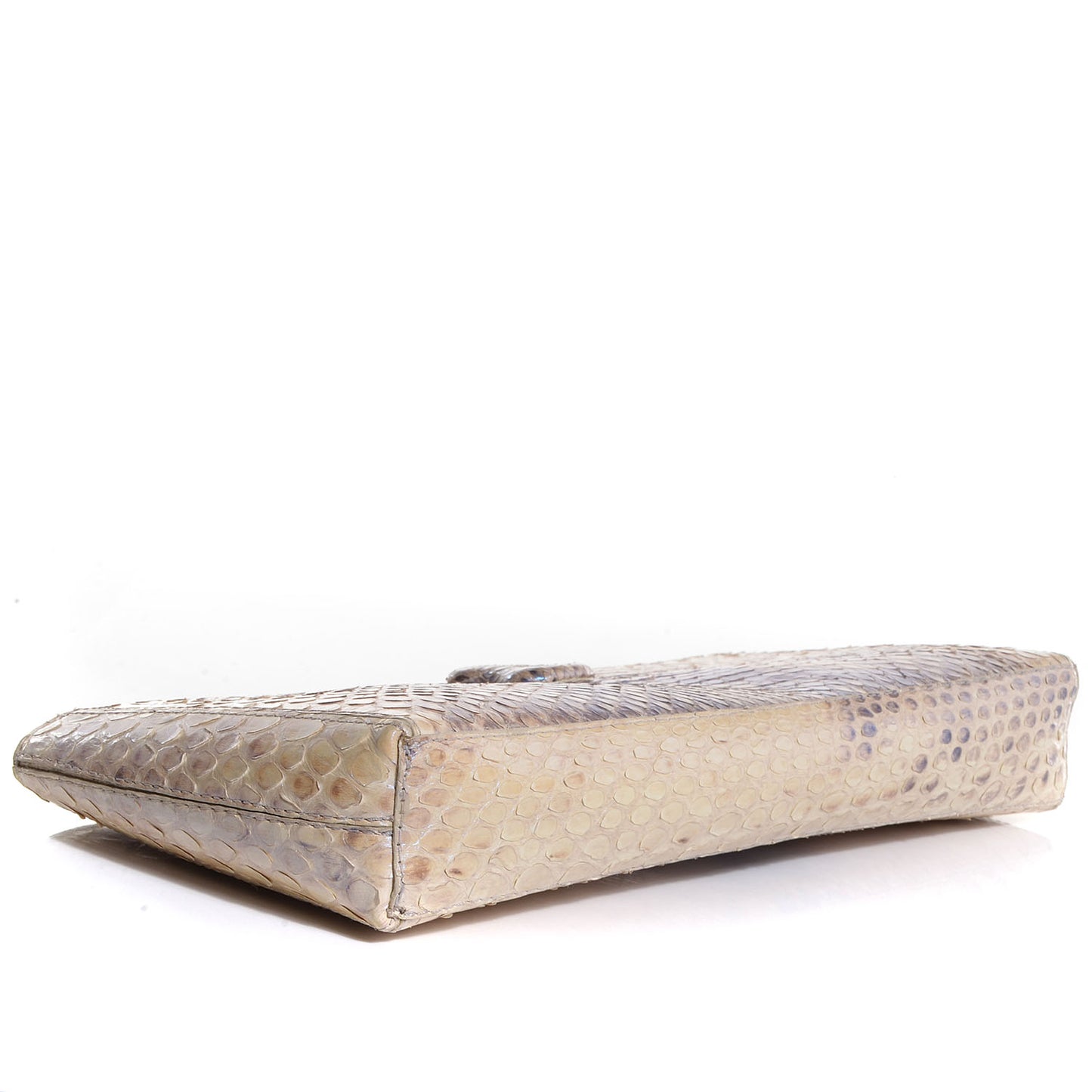 Iridescent Python Clutch