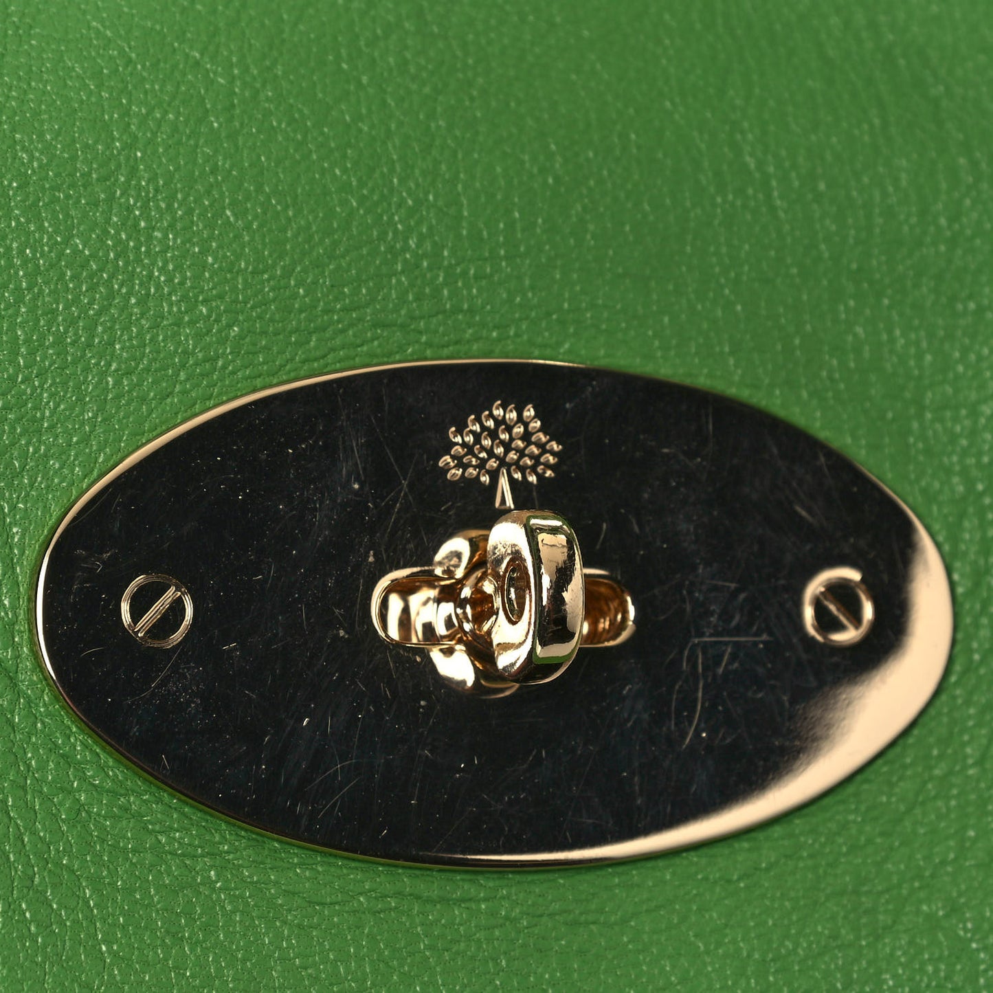 Goatskin Bayswater Grass Green