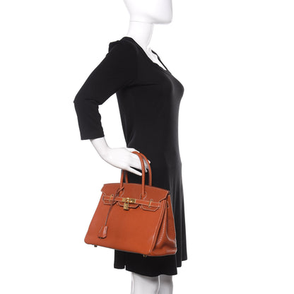 Hermes Chevre de Coromandel Birkin 30 Etrusque 2 of 13