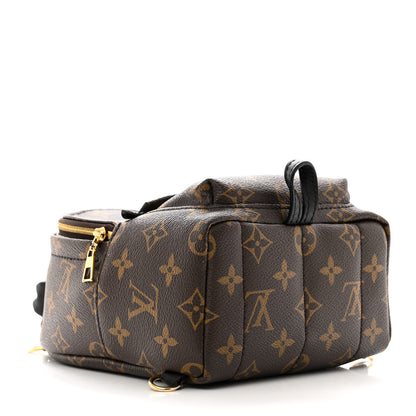 Louis Vuitton Monogram Palm Springs Backpack Mini 4 of 11