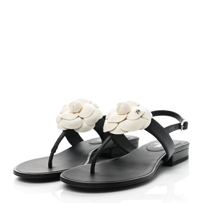 Chanel Lambskin Camellia Thong Sandals 35 Black White 3 of 9