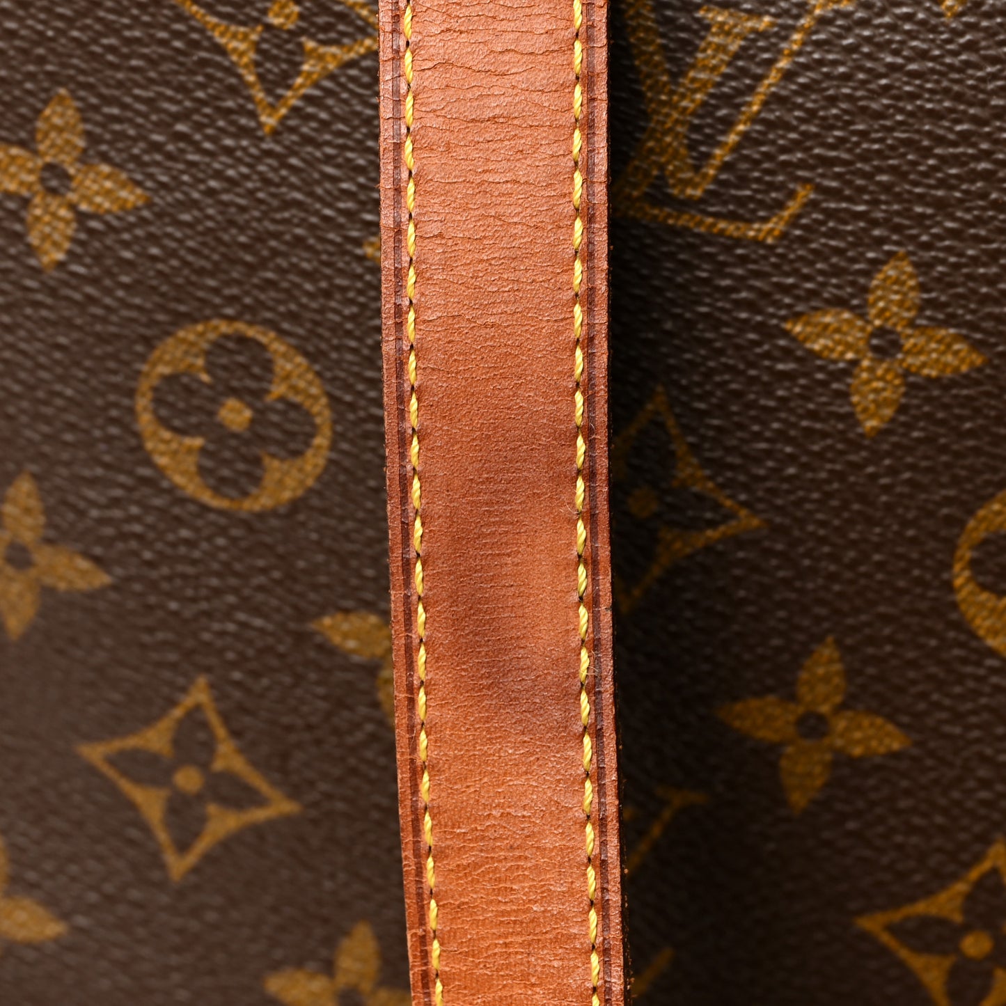 Monogram Cabas Mezzo