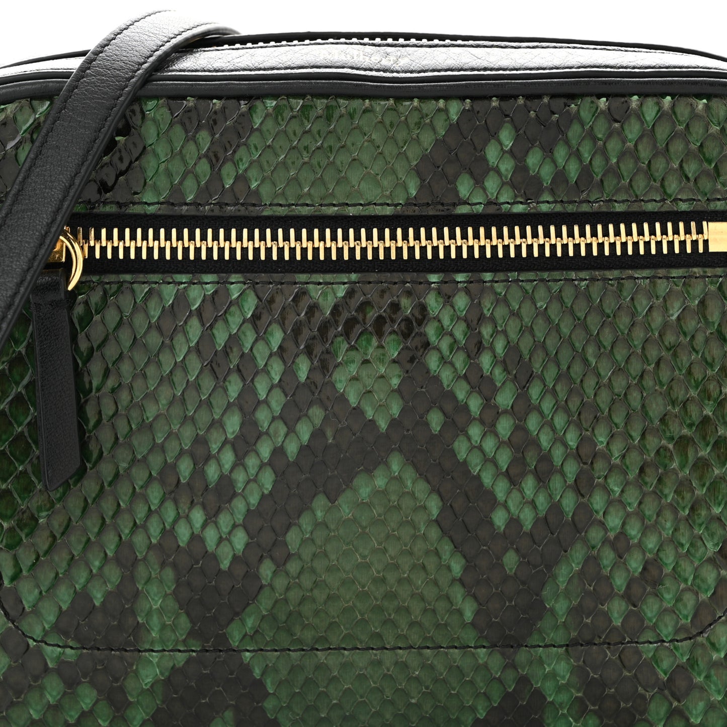 Snakeskin Calfskin Camera Bag Green Black