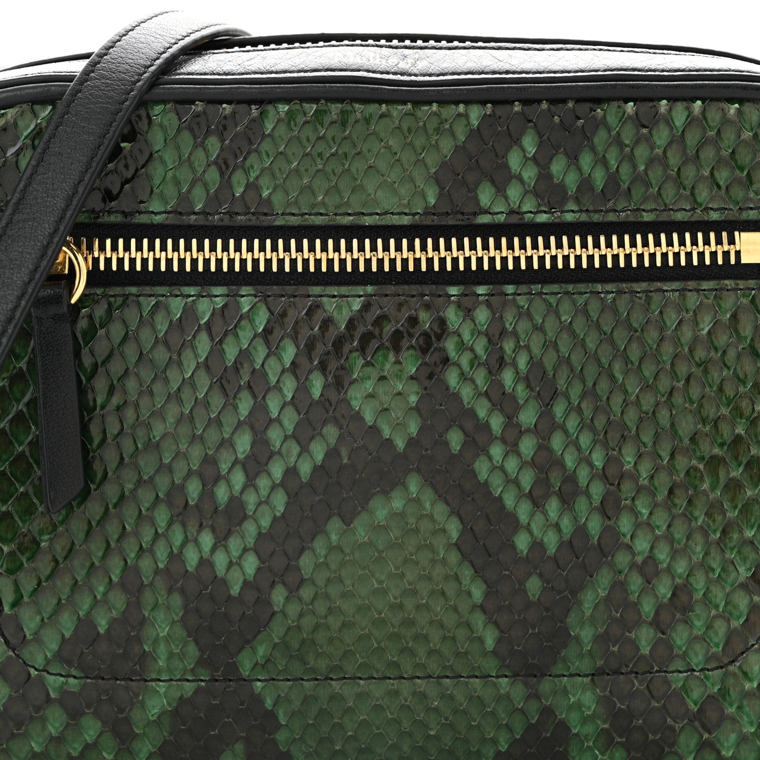 Mulberry Snakeskin Calfskin Camera Bag Green Black 7 of 9