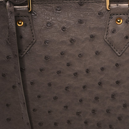Louis Vuitton Ostrich Alma MM Gris 7 of 9