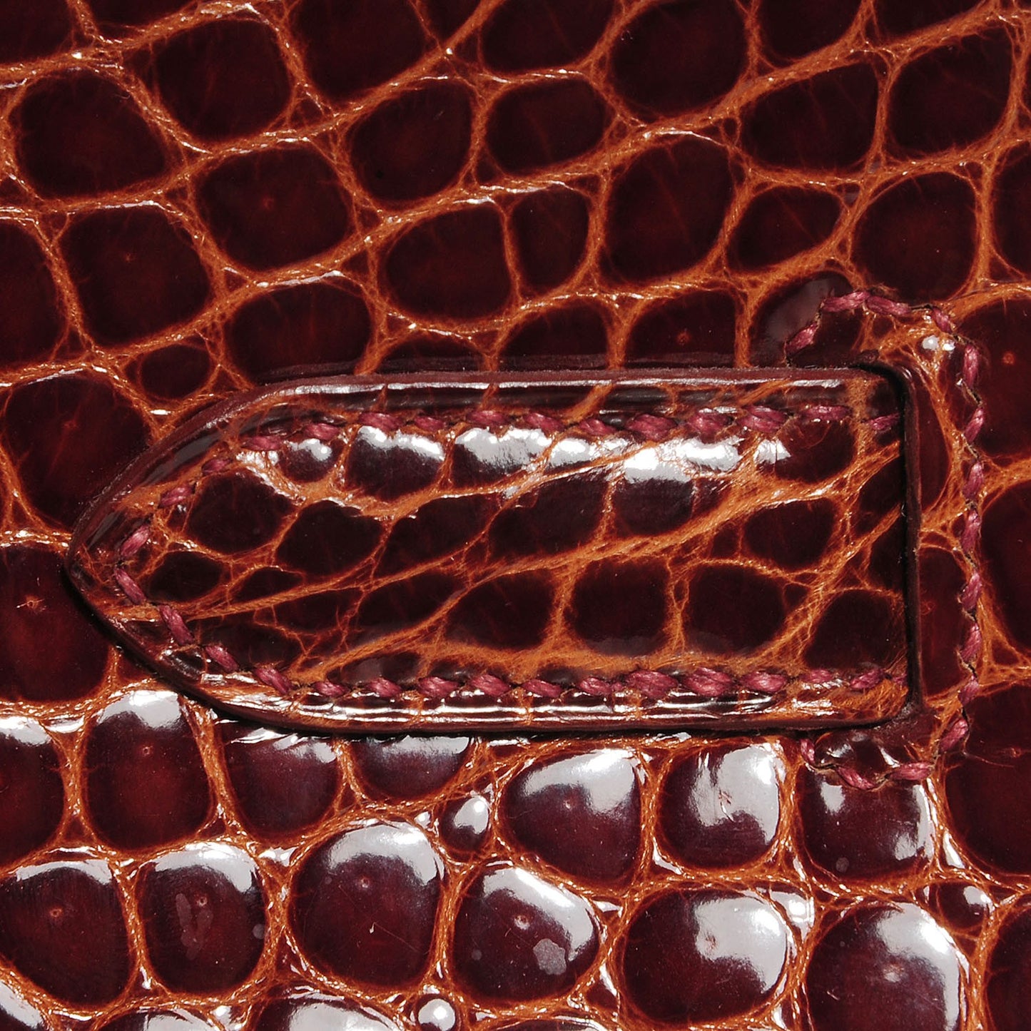 Shiny Porosus Crocodile Birkin 35 Miel