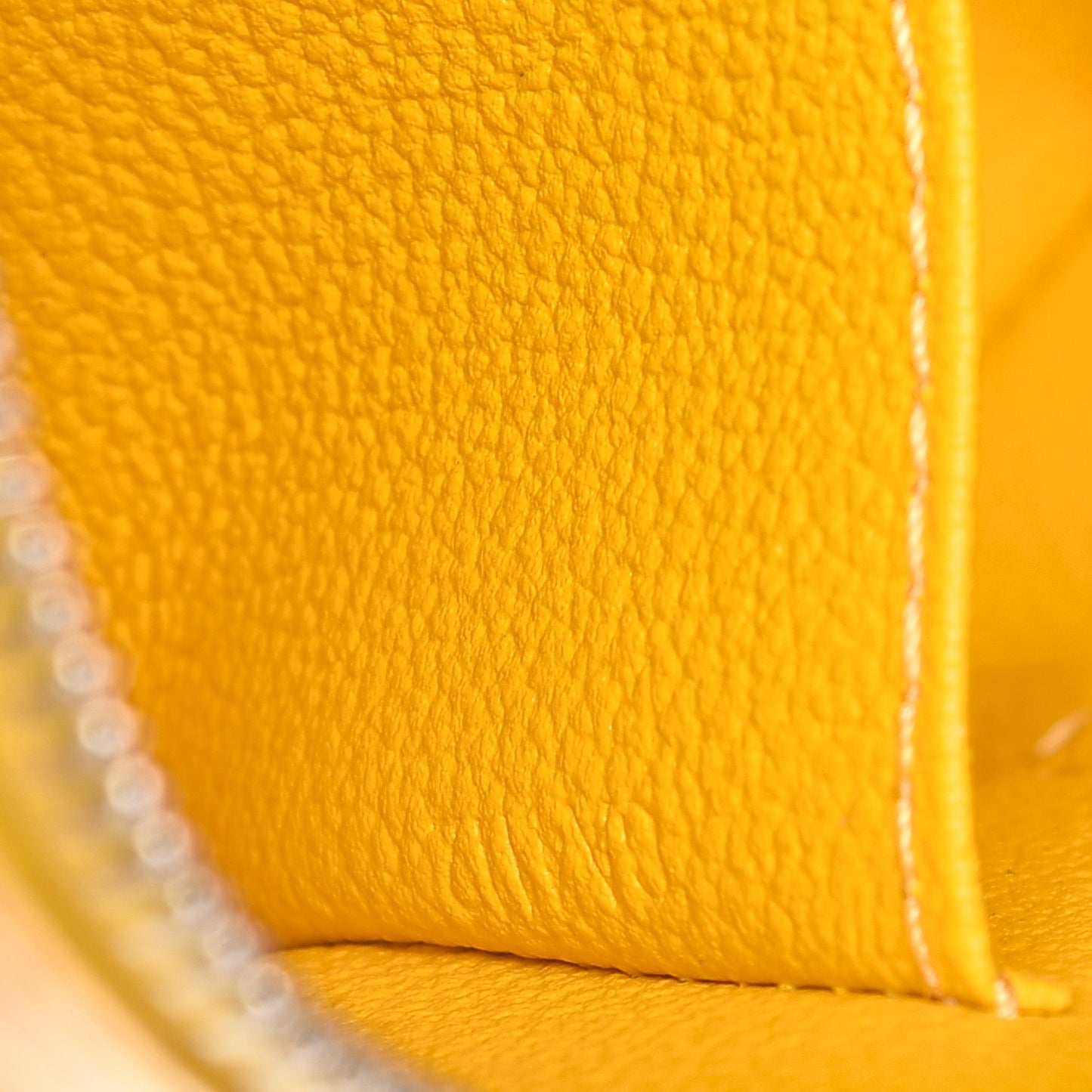 Epi Cosmetic Pouch Citron