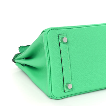 Hermes Togo Matte Alligator Birkin Touch 25 Vert Comics 8 of 10