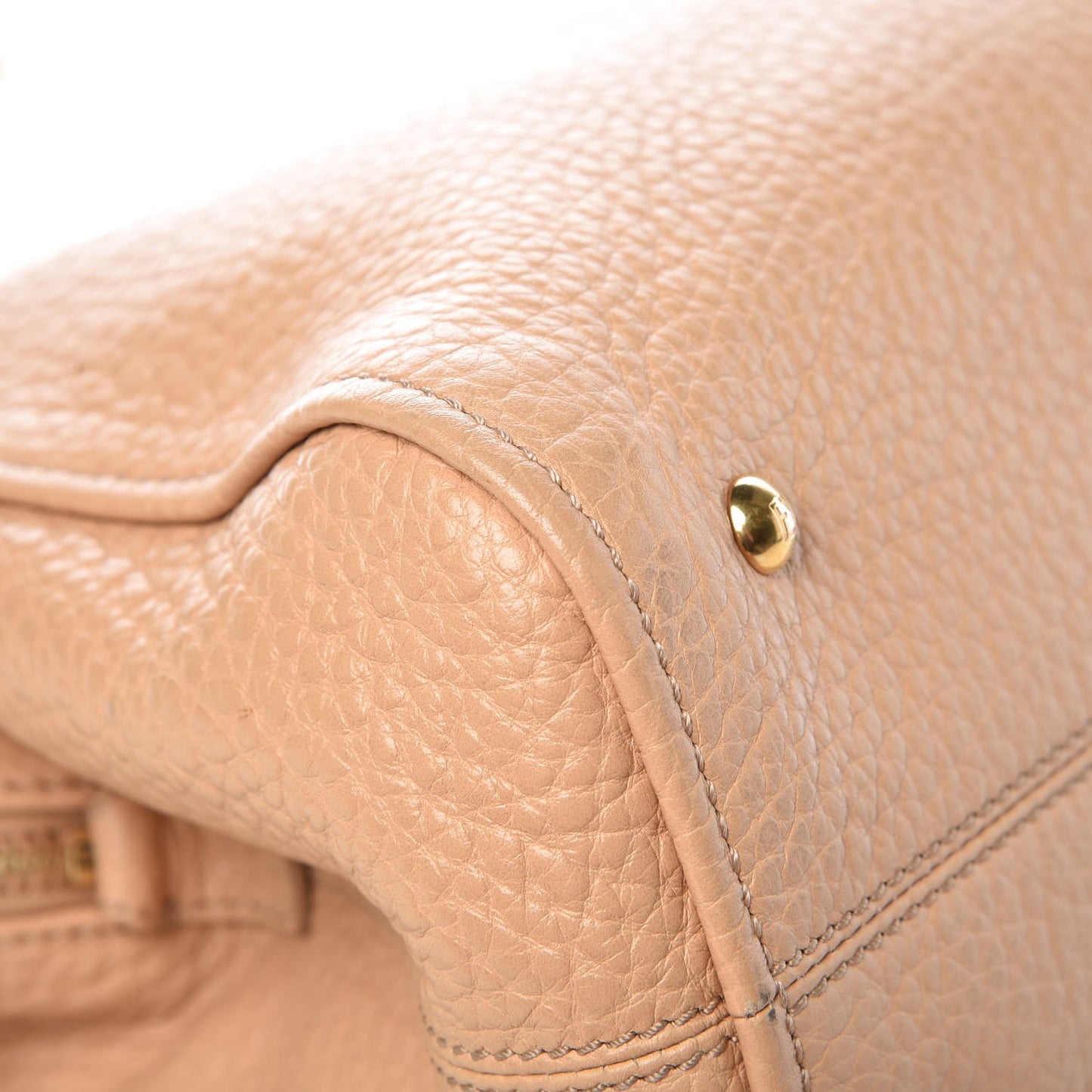 Pebbled Calfskin Small Chameleon Tote Nude