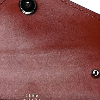 Chloe Shiny Goatskin Calfskin Mini Aby Chain Shoulder Bag Sepia Brown 10 of 17