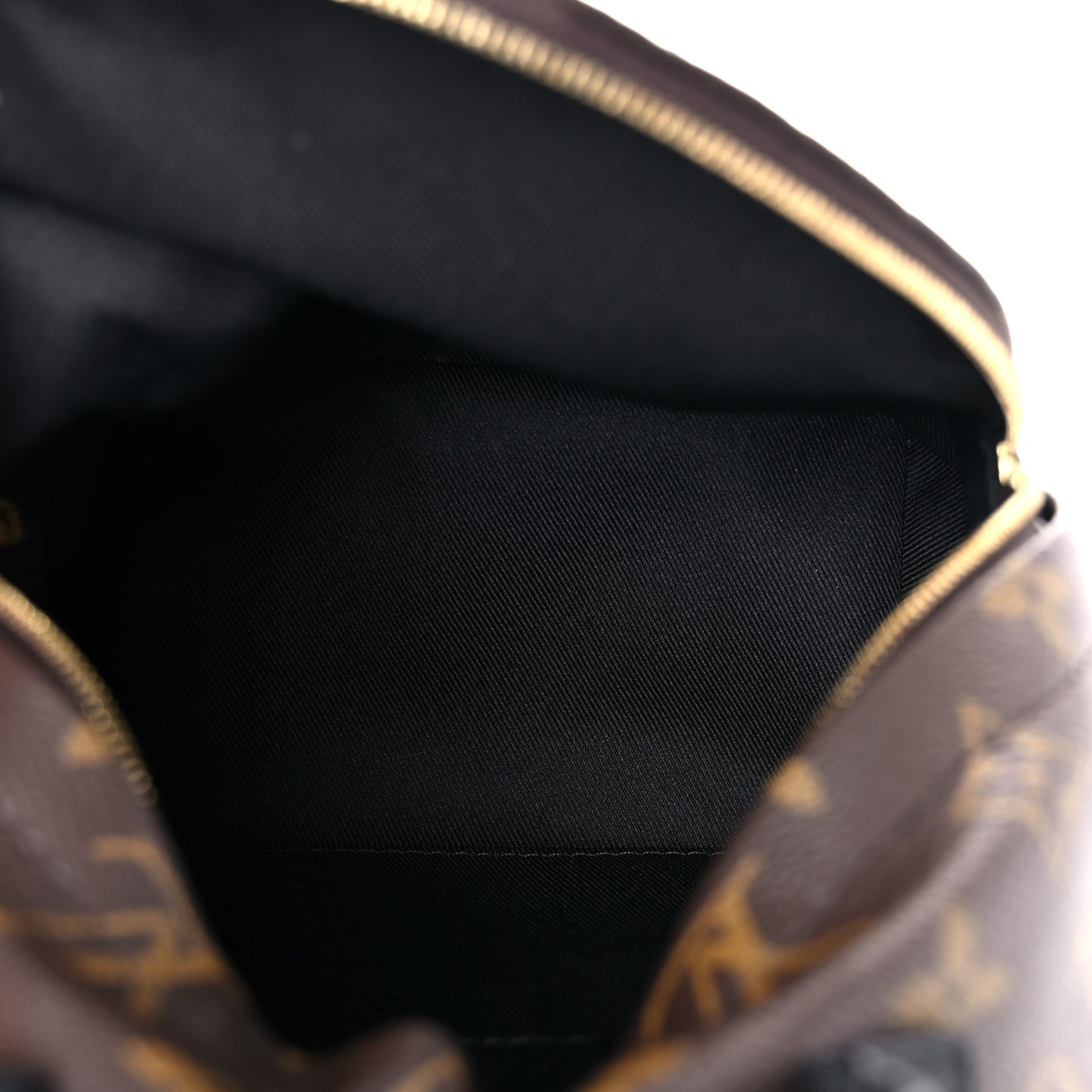 Monogram Palm Springs Backpack Mini