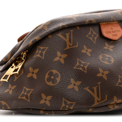Louis Vuitton Monogram Bumbag 8 of 11