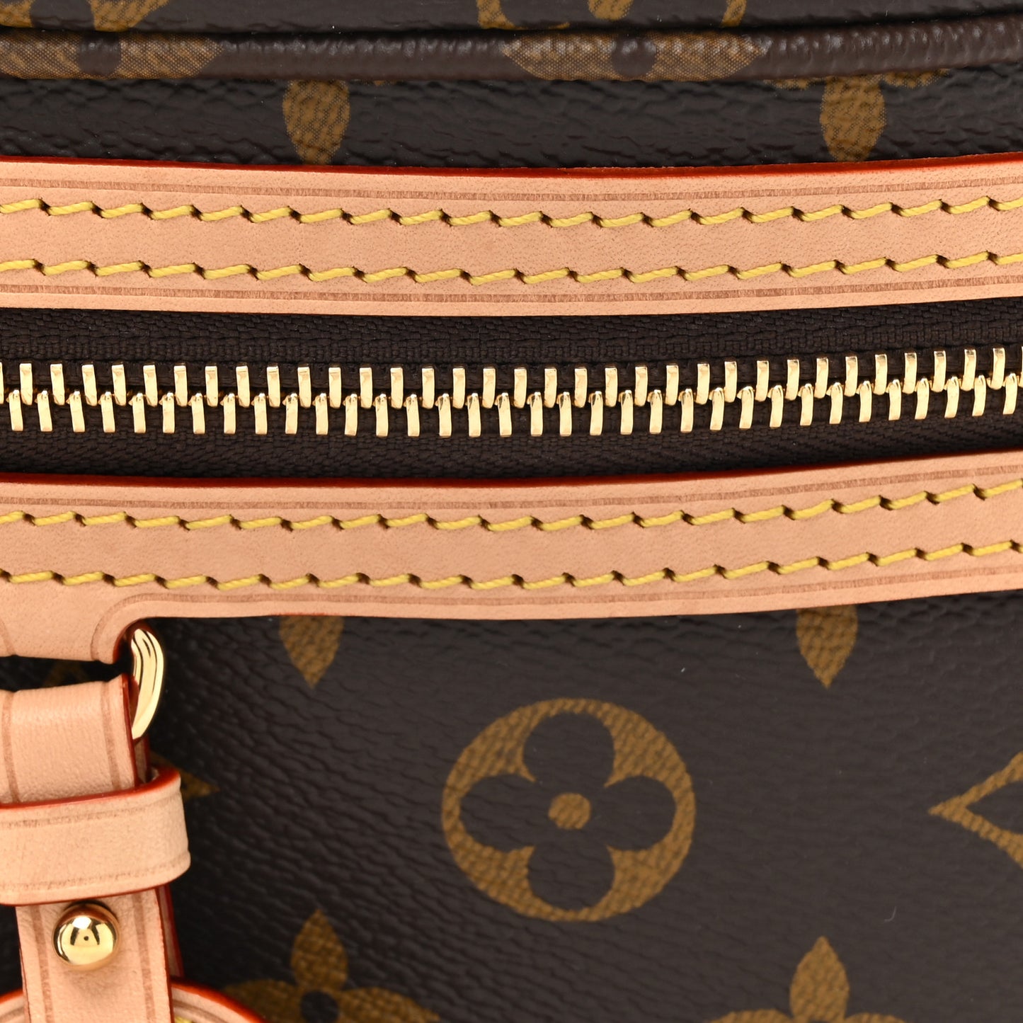 Monogram High Rise Bumbag