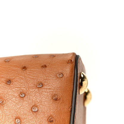 Louis Vuitton Ostrich Capucines BB Cognac 14 of 15