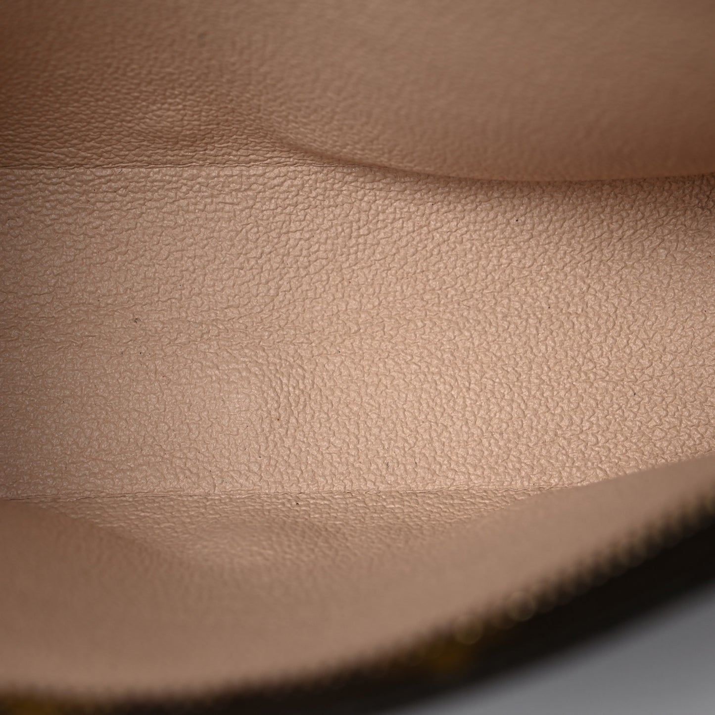 Monogram Toiletry Pouch 19