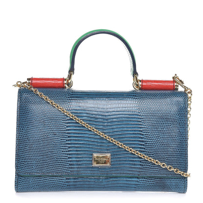 Dolce & Gabbana Lizard Calfskin Embossed Wallet On Chain Blue 1 of 6