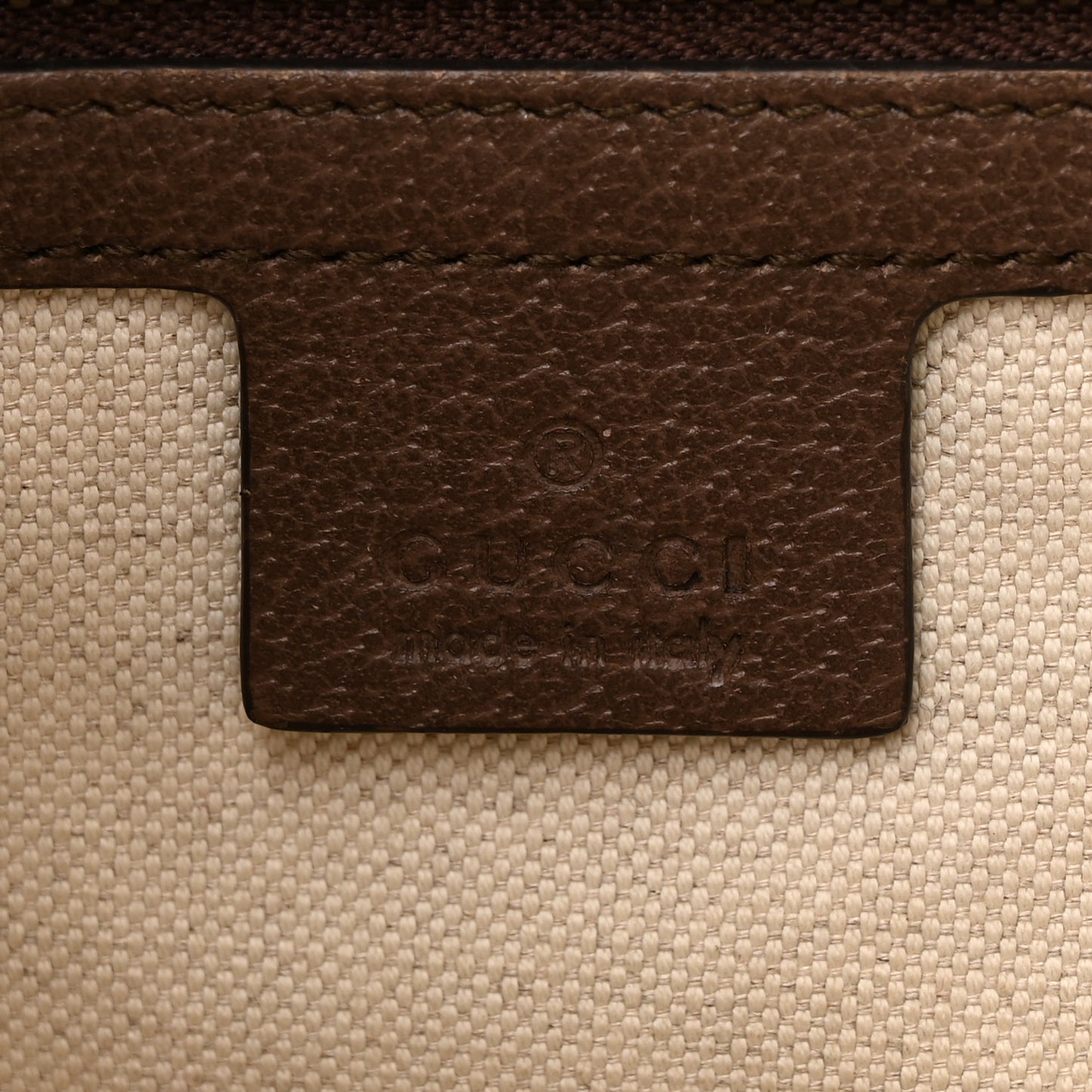 GG Supreme Monogram Web Small Ophidia Half Moon Hobo Brown