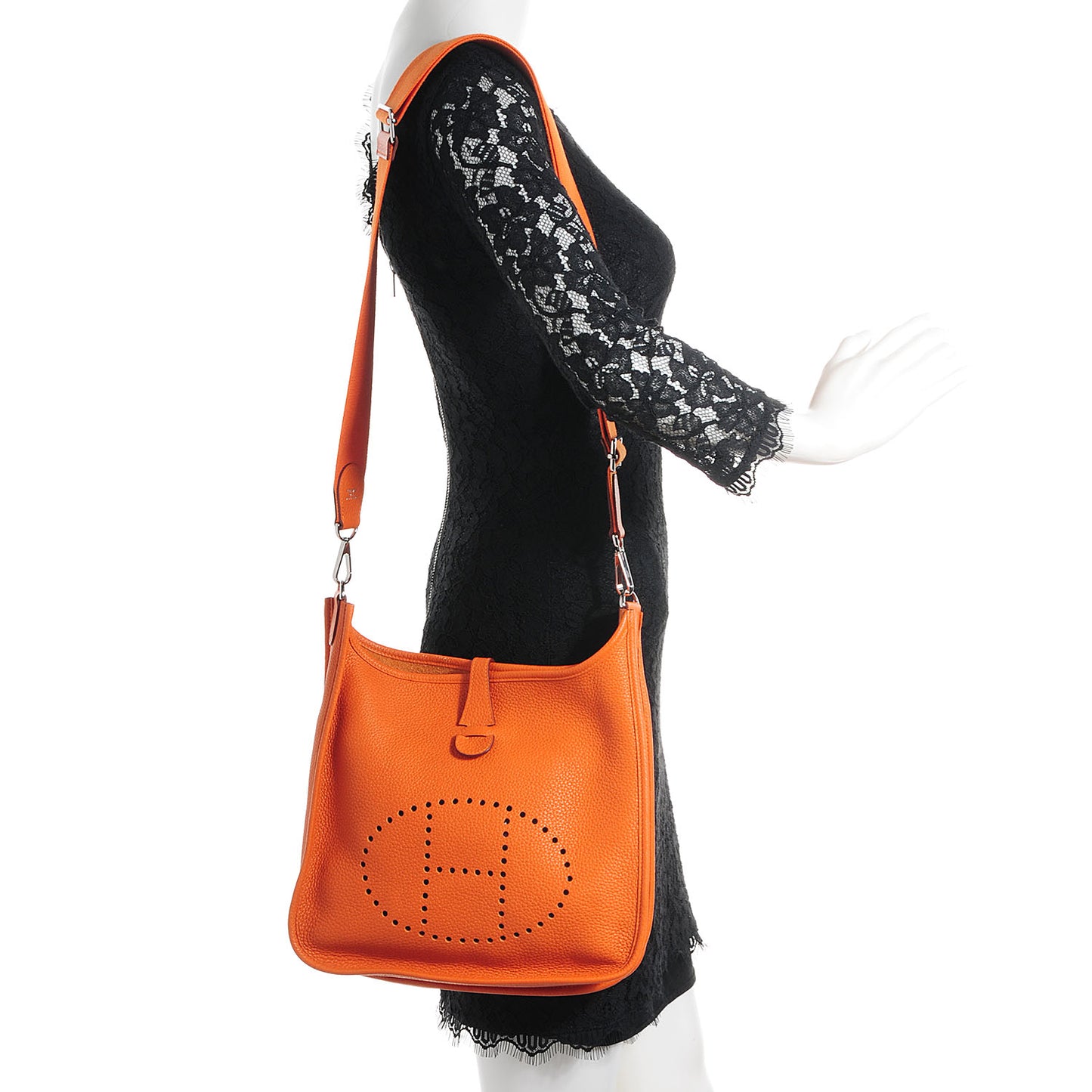 Taurillon Clemence Evelyne PM III Orange