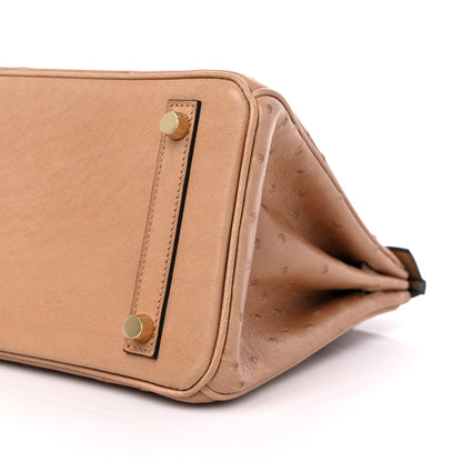 Hermes Ostrich Birkin 25 Chai 8 of 9