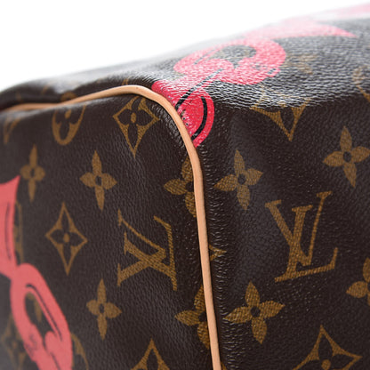 Louis Vuitton Monogram Bay Speedy 30 Rose Ballerine Poppy 8 of 8