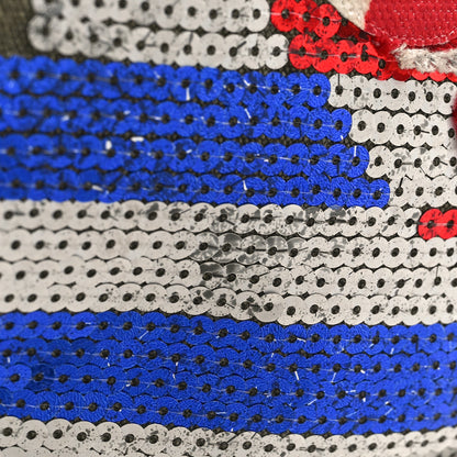 Chanel Canvas Sequins Cubano Trip Hobo Khaki 10 of 10