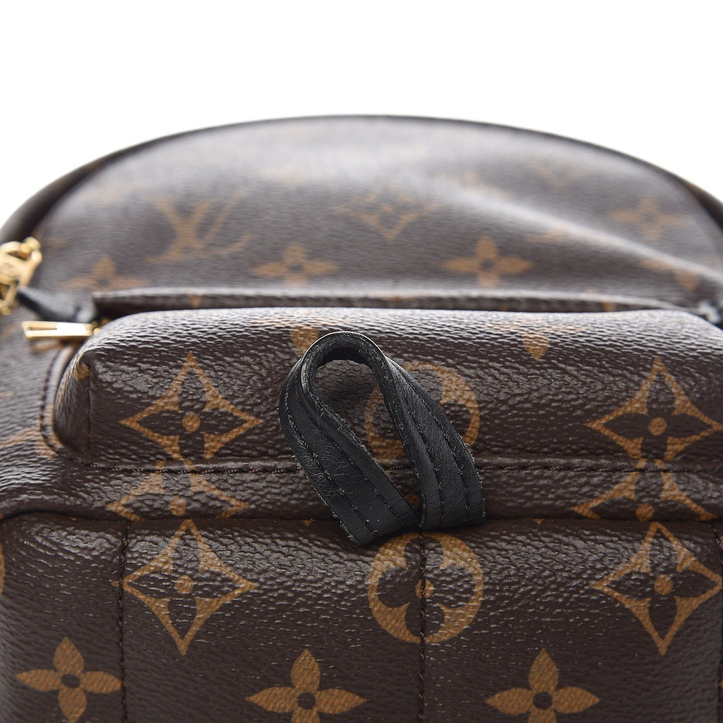 Monogram Palm Springs Backpack Mini