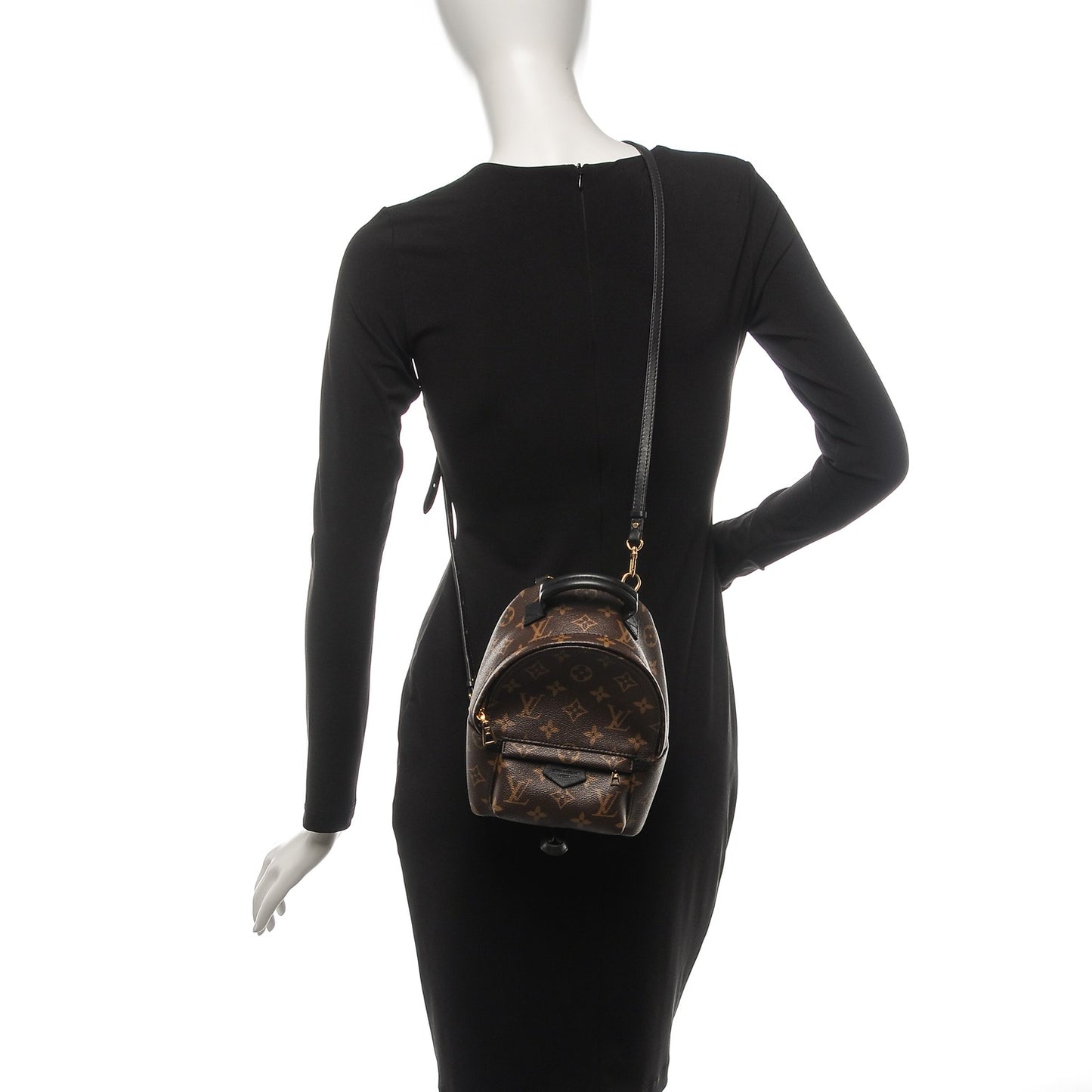 Monogram Palm Springs Backpack Mini