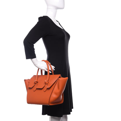 Celine Crisped Calfskin Mini Tie Knot Tote Burnt Orange 2 of 15