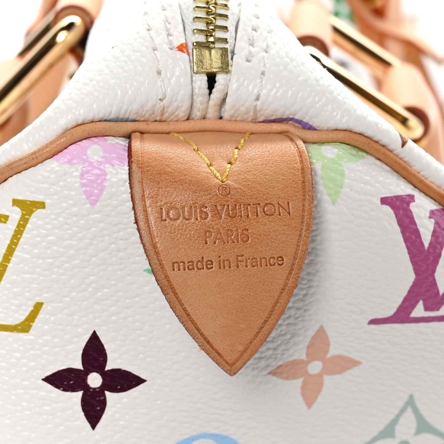 Monogram Multicolor Speedy 30 White