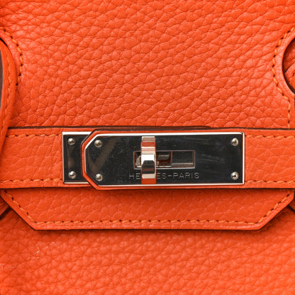 Hermes Taurillon Clemence Birkin 30 Feu 14 of 16