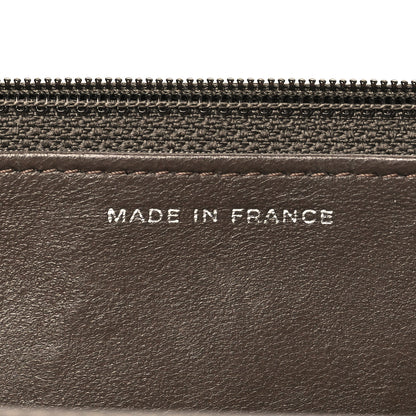 Chanel Snakeskin Wallet On Chain WOC Brown Silver 7 of 11