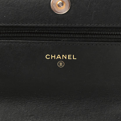 Chanel Shiny Goatskin Quilted Chanel 19 Wallet On Chain WOC Black 6 of 23