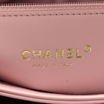 Chanel Lambskin Quilted Medium Color Match Flap Light Pink 5 of 10